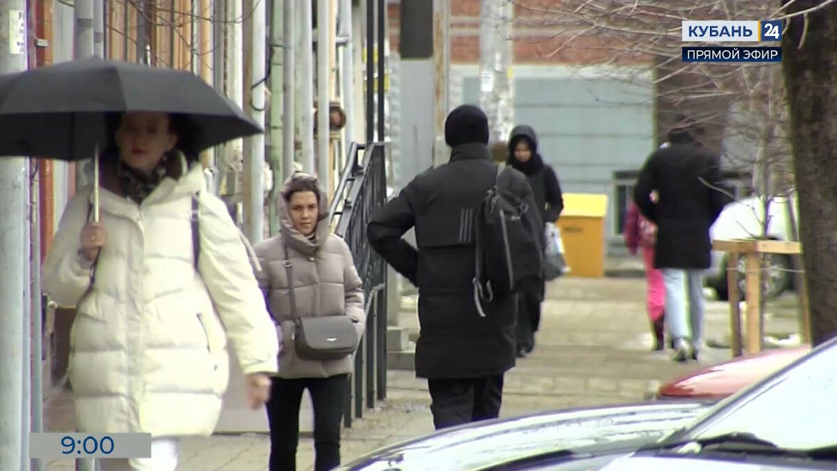    Скриншот видео телеканала «Кубань 24»