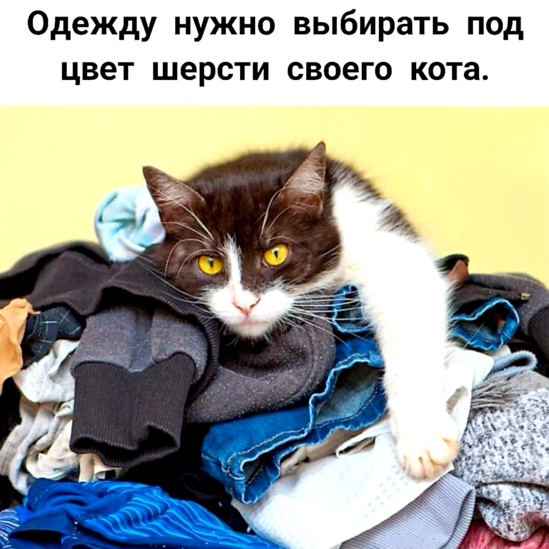 Интернет. Общий доступ