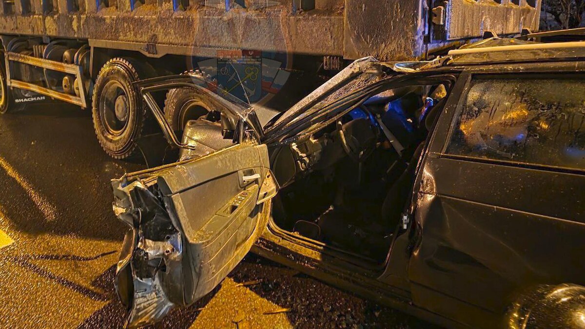    Фото: t.me/acclenobl