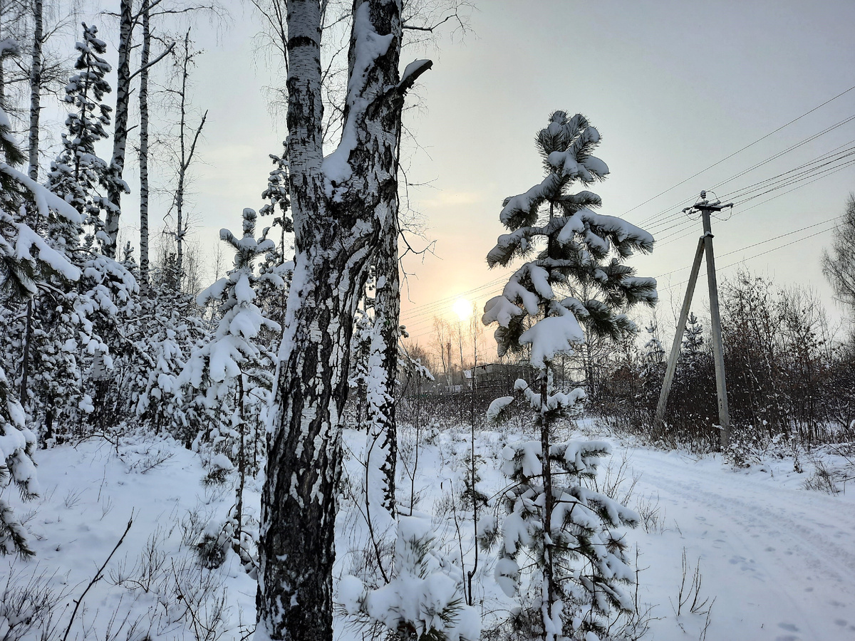 Фото автора 08.12.2025, Средний Урал