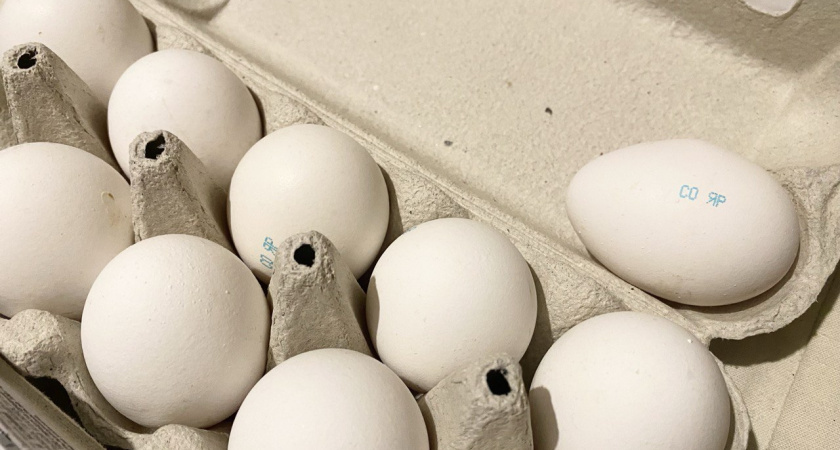    фото из архива редакции