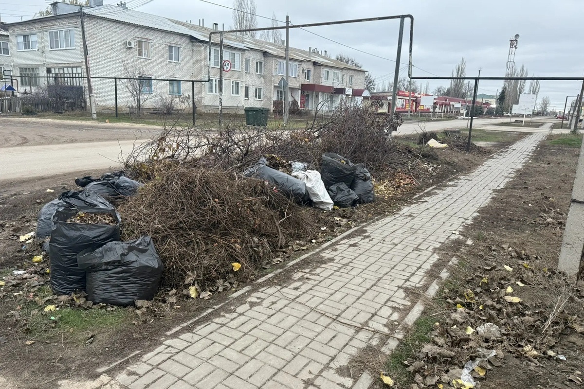    Фото: прокуратура Волгоградской области