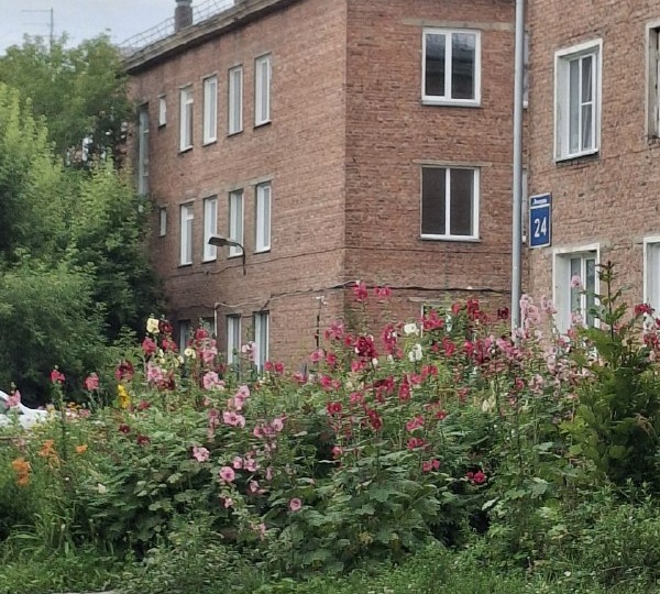 «Эффект Долиной»: как не стать жертвой мошенников при продаже квартиры