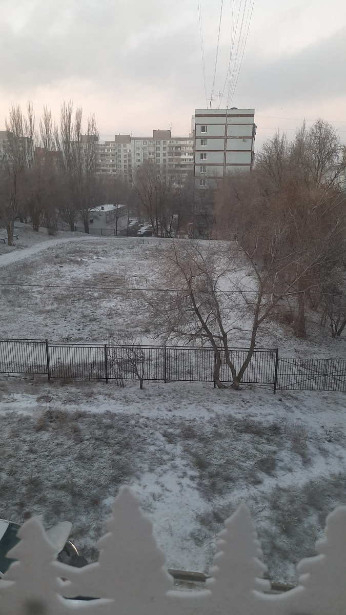 Утром за окном