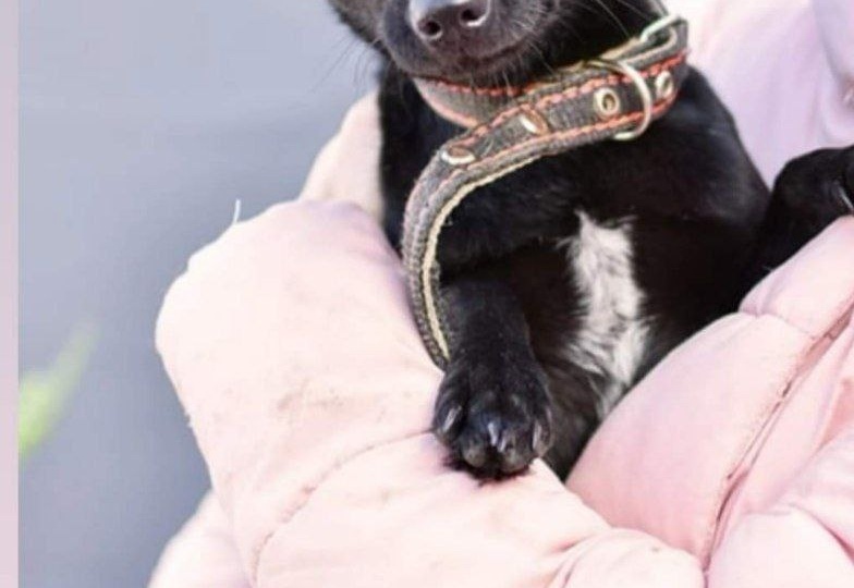 В ПРИЮТ ОЧЕНЬ НУЖНА ЕДА