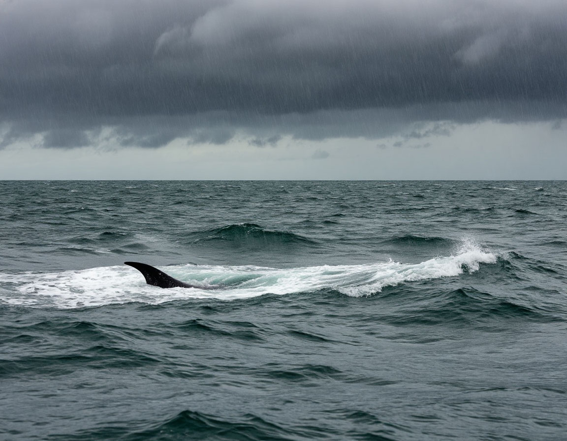 Рисунок создан нейросетью. / Из личной коллекции автора блога.