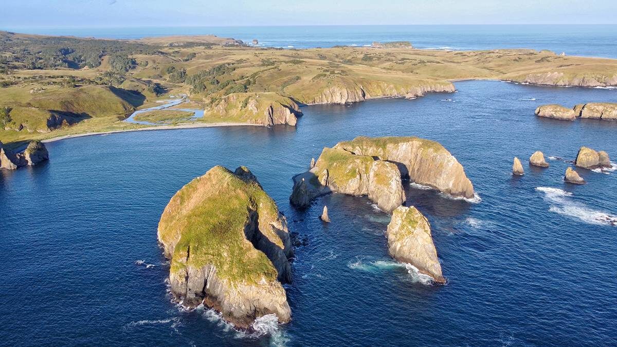    Фото: shutterstock