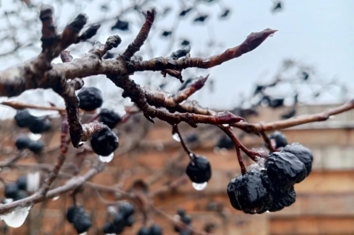    До +6 градусов прогреется воздух в Псковской области 9 декабря