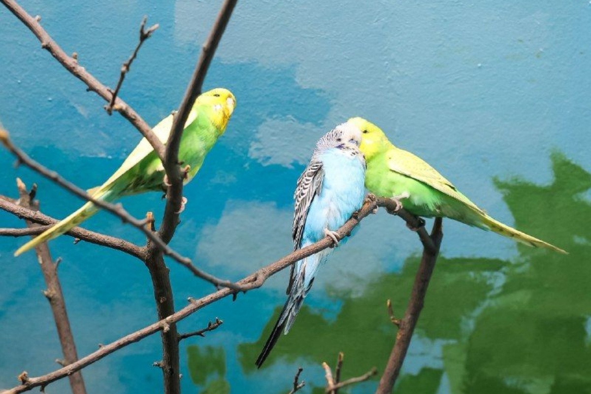    Фото: пресс-служба зоопарка Екатеринбурга