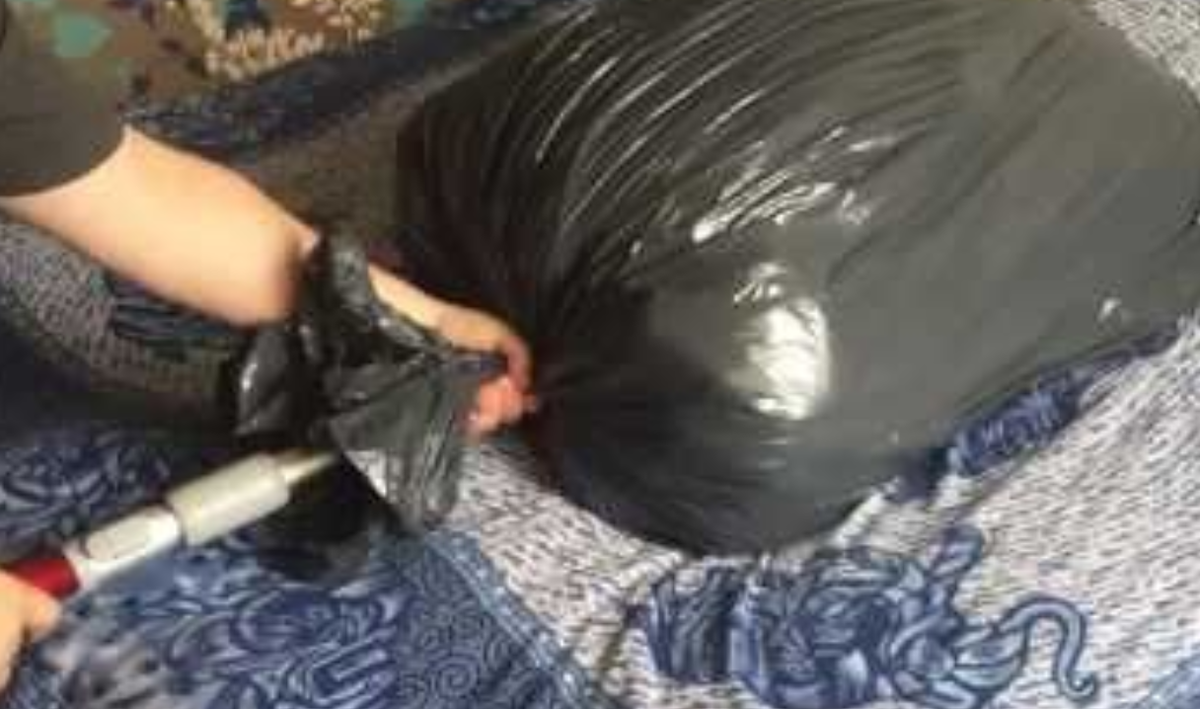 Фото носит иллюстративный характер: открытые источники