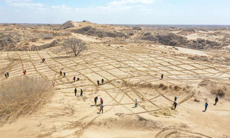 Озеленение пустыни