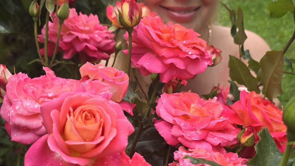 Если хотите неприхотливую супер-розу, которая цветёт букетами, точно сажайте её