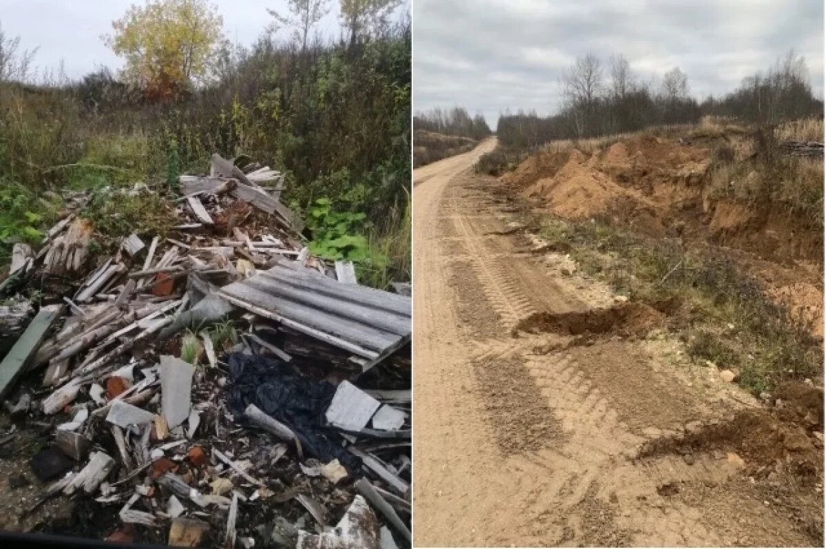    В Тверской области о ликвидации свалки отчитались письмом и фото