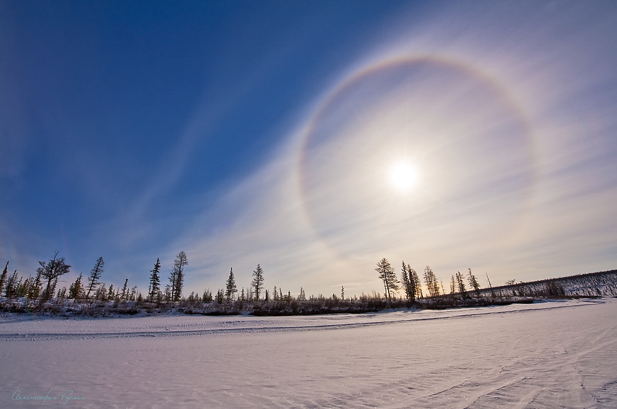 Картинка найдена на просторах интернета, ссылка https://yandex.ru/images/search?from=tabbar&img_url=https%3A%2Fi%2F.pinimg.com%2Foriginals%2Fa8%2F34%2Fа3f%2Fa83р43f81с28479b5e7bd53274cf0591a19.jpg&lr=47&pos=15&rpt=simage&text=%D1%86%D0%B2%D0%B5%D1%82%D1%8B%20%D0%BA%D1%80%D1%83%D0%BF%D0%BD%D0%BE%20%D1%84%D0%BE%D1%82%D0%BE