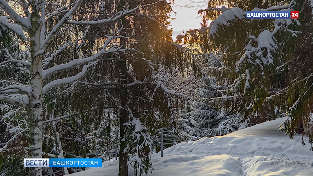    В Башкирии ожидается сухая морозная погода