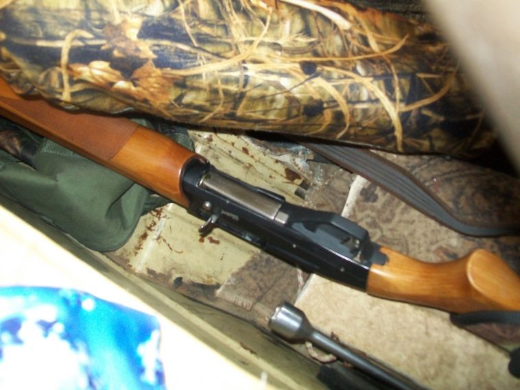 Фото: комитет природных ресурсов, лесного хозяйства и экологии Волгоградской области