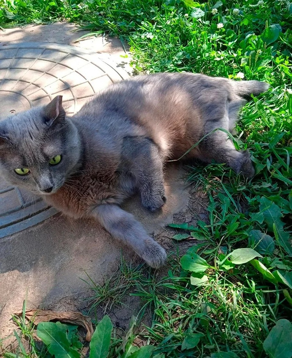    Арнольд после ампутации конечностей. Фото: Алевтина Блинова