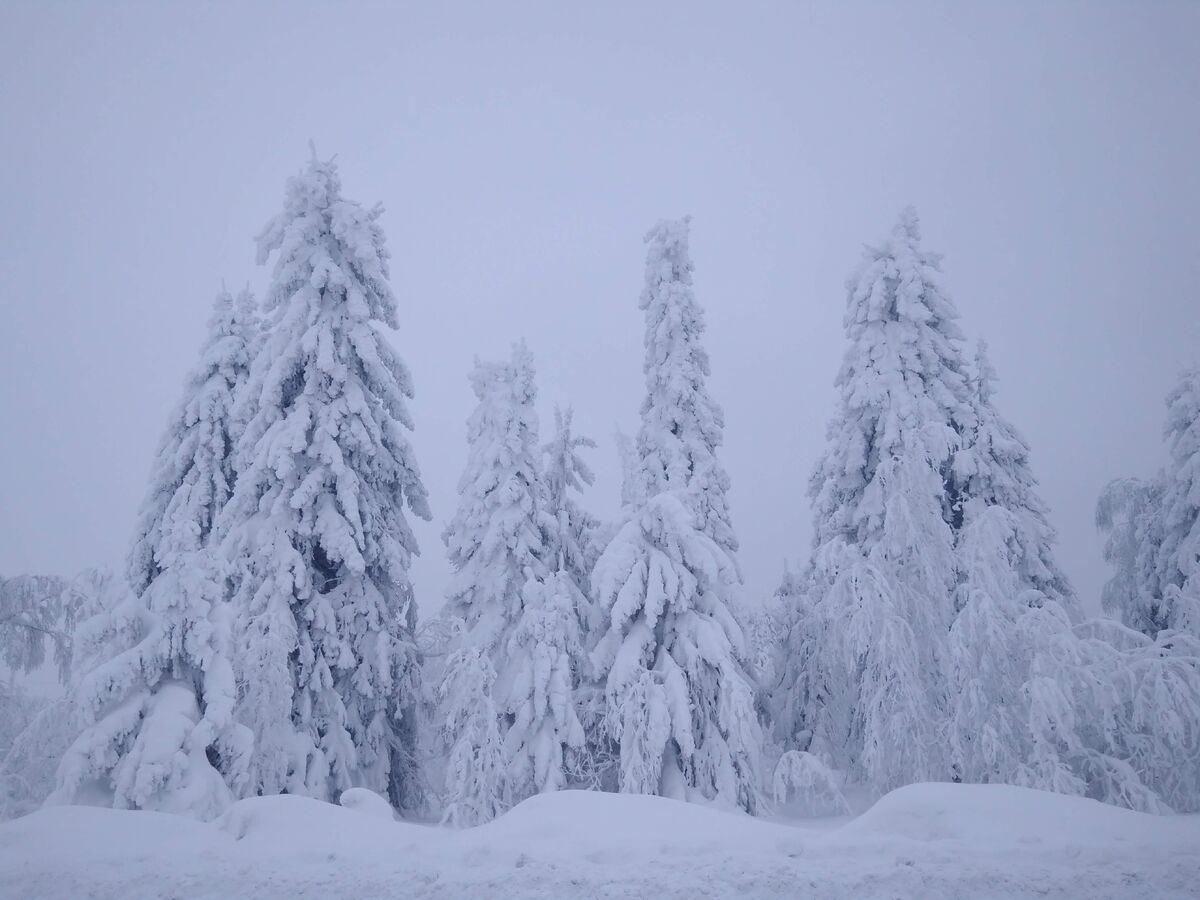    © Зарина Ситдикова