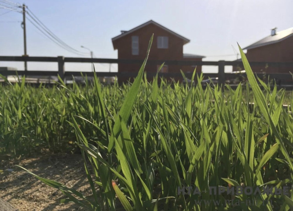    Выдачу земельных участков военным предложили расширить в Саратовской области