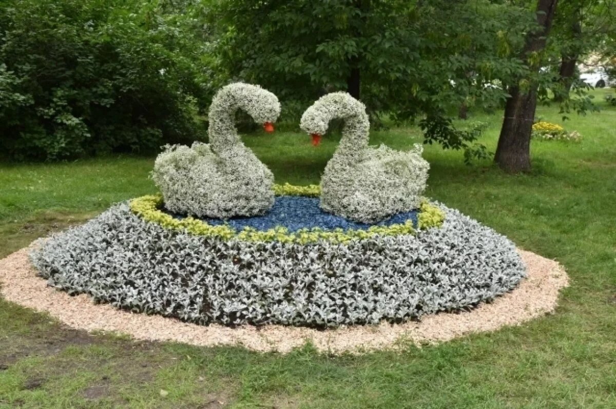    Мэр Шелест рассказал об озеленении города Омска в 2025 году