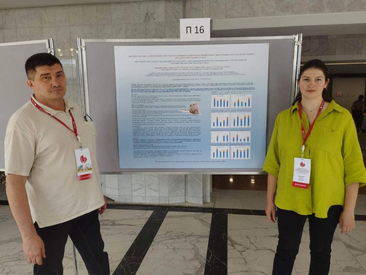 Участники проекта — заведующий НИО физиологической микроэндоэкологии Института экспериментальной медицины ФГБУ «НМИЦ им. В.А. Алмазова» Минздрава России Юрий Борщев и младший научный сотрудник НИО физиологической микроэндоэкологии Института экспериментальной медицины ФГБУ «НМИЦ им. В.А. Алмазова» Минздрава России Инесса Буровенко представляют результаты работы на конференции «Кардиология на марше». Источник: Инесса Буровенко