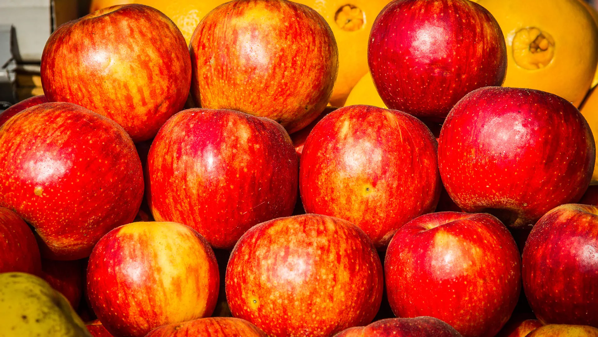 © photo: Sputnik / Stringer