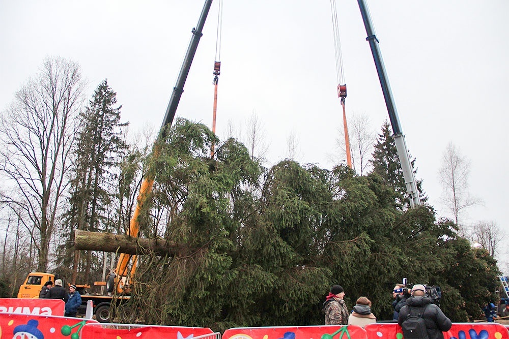    Татьяна Хорошилова