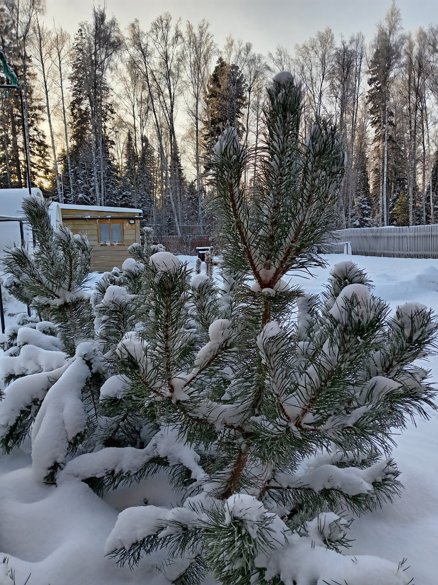 Фото автора. 