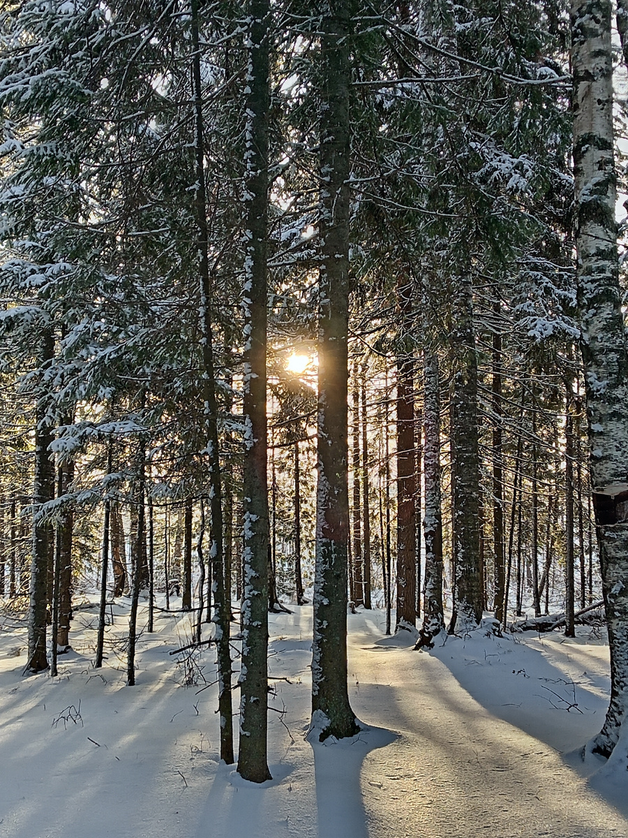 Фото автора.