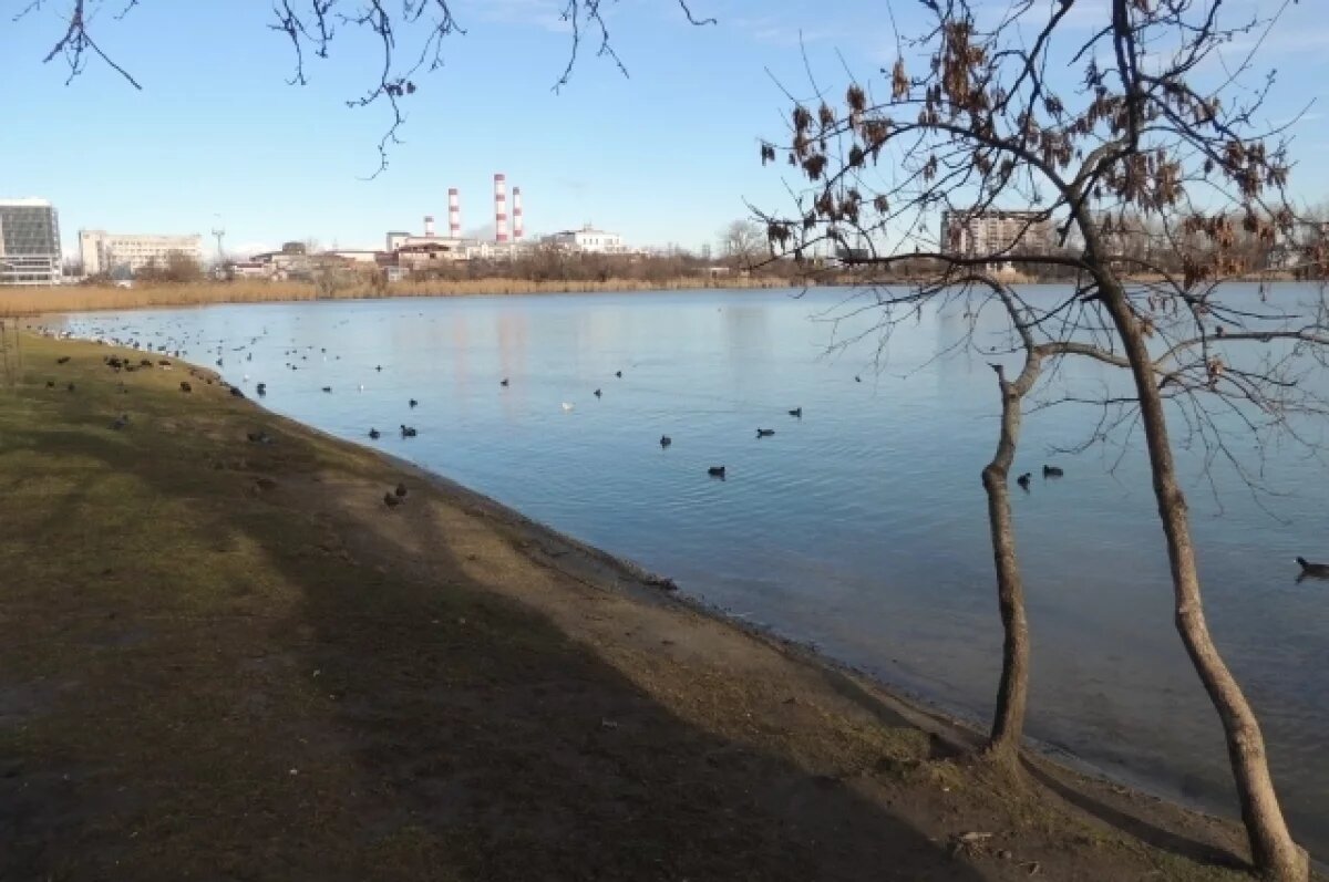    Снега не будет?