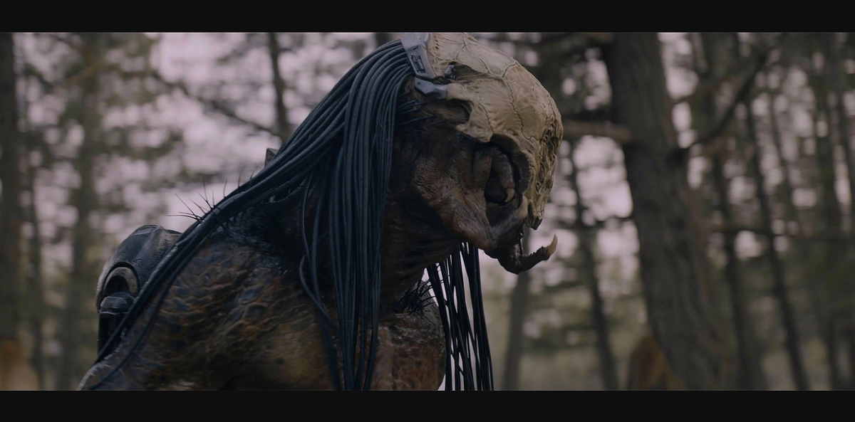 Фильм «Добыча», 2022 год. Режиссер: Дэн Трахтенберг (изображение взято с сайта "Кинопоиск")