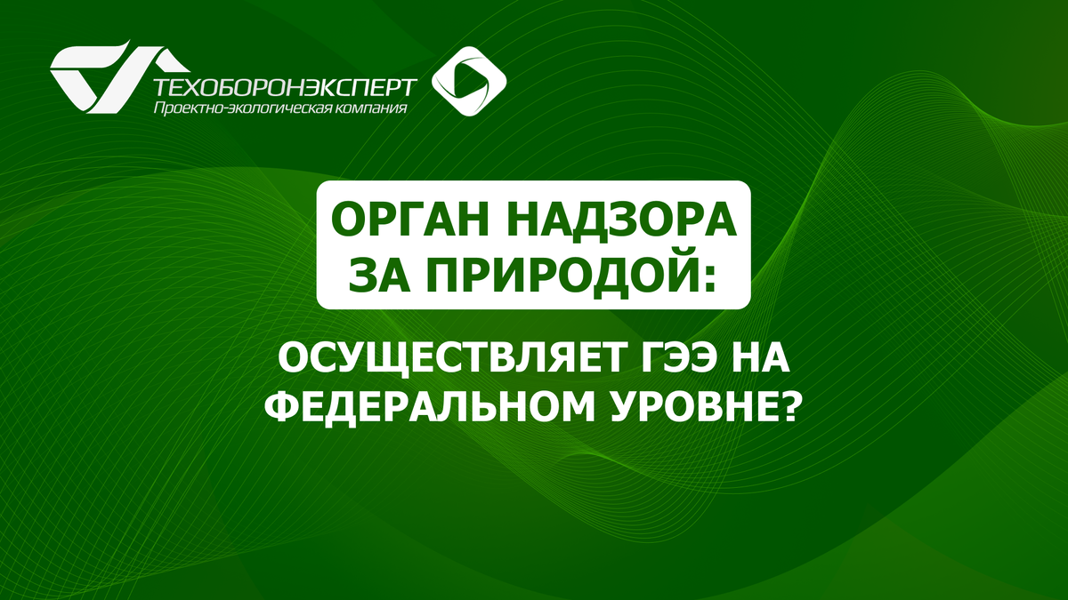 Орган надзора за природой: осуществляет ГЭЭ на федеральном уровне?