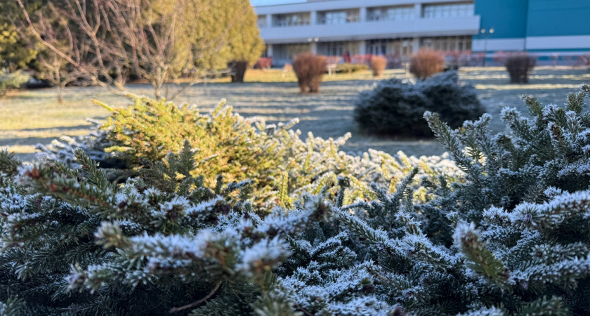    Фото: ПроГород