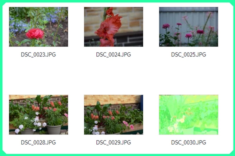 Справа внизу файл № 0030 в салатовом цвете поврежден