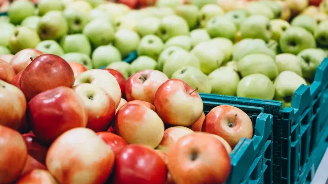    Фото: Freepik.com