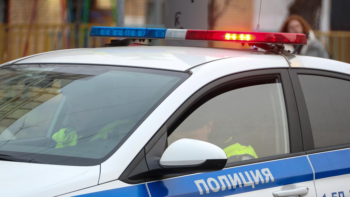    Фото: Pogiba Alexandra/globallookpress.com