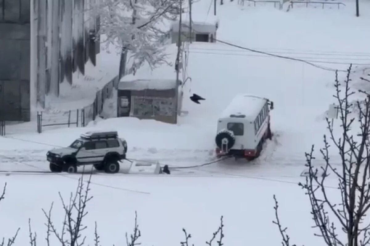    Названы действующие адреса пурговых стоянок в Петропавловске