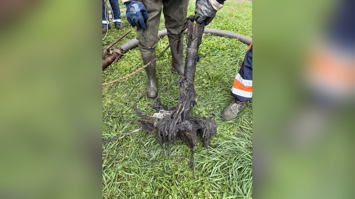    Фото t.me/mcu_krd