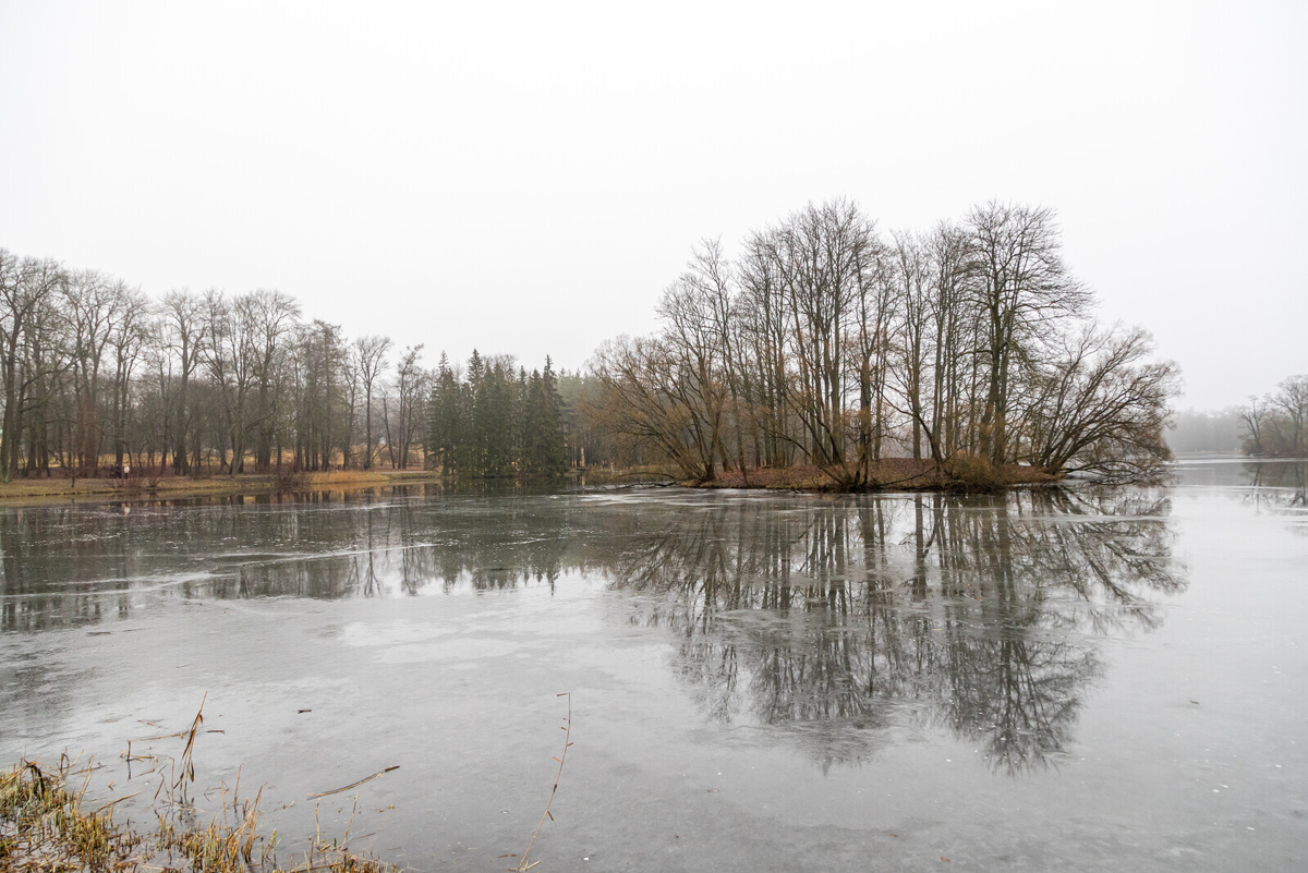 Фото: Олег Золото / «Вечерний Санкт-Петербург»