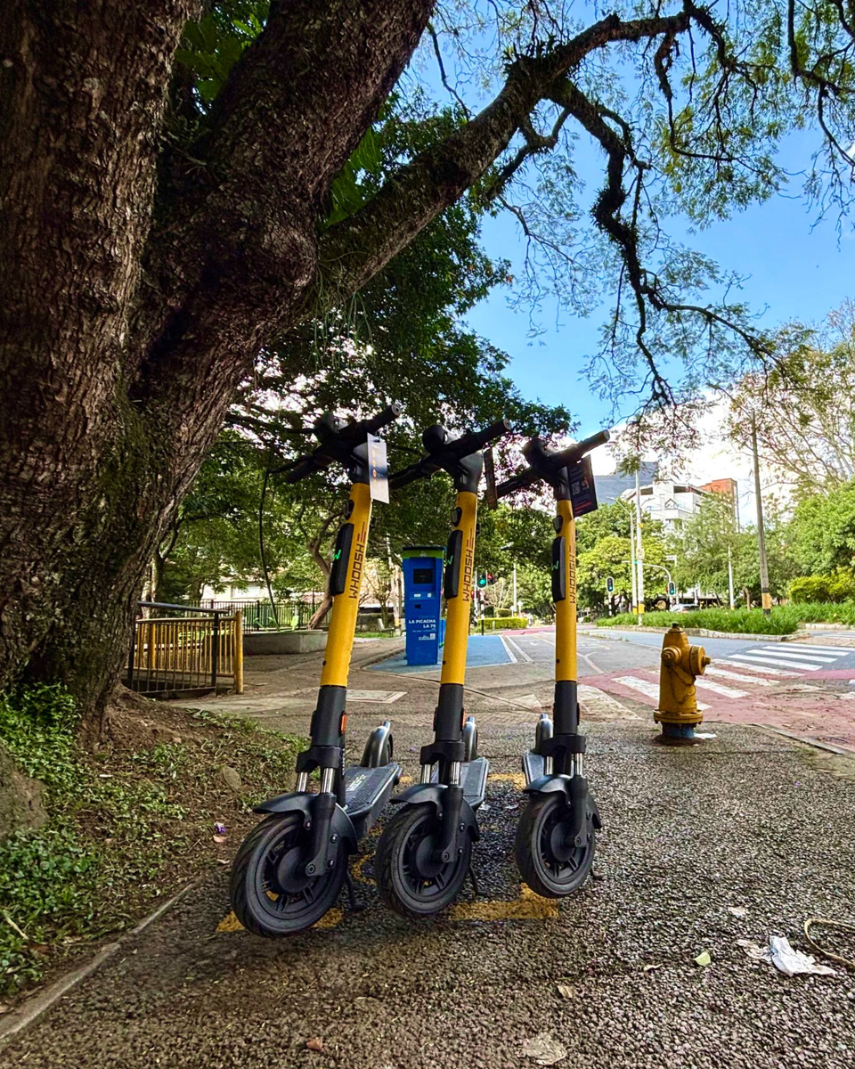 Иллюстрация: Whoosh  📷
