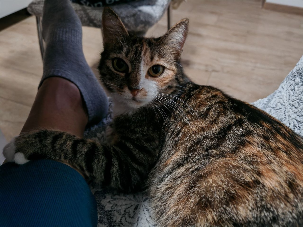 #Астропрогноз на 8-14 декабря 2025. Ключевые аспекты дня