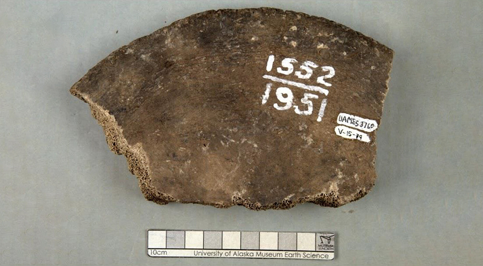   Matthew Wooller et al. / Journal of Quaternary Science, 2025