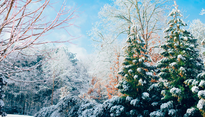 10 декабря наступает Знамение. Фото: pxhere.com