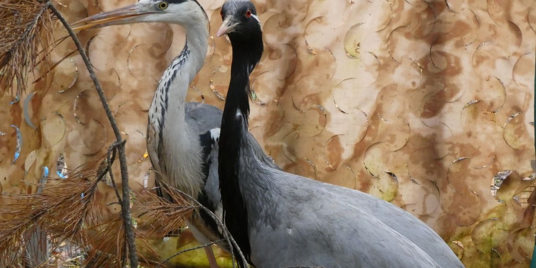 Обычно журавль - синоним больших проблем
