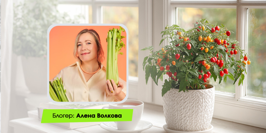    Иллюстрация NEWS.ru