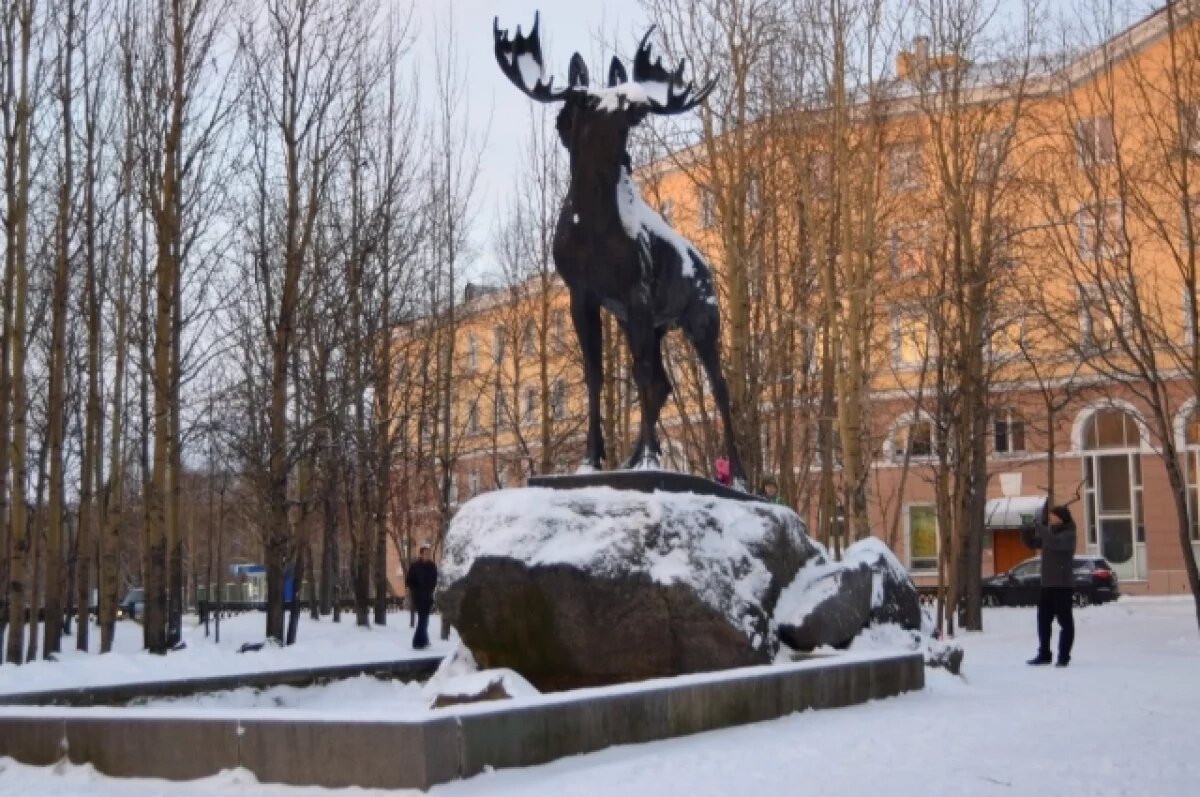    В Мончегорске скорость мобильного интернета выросла на 20 %