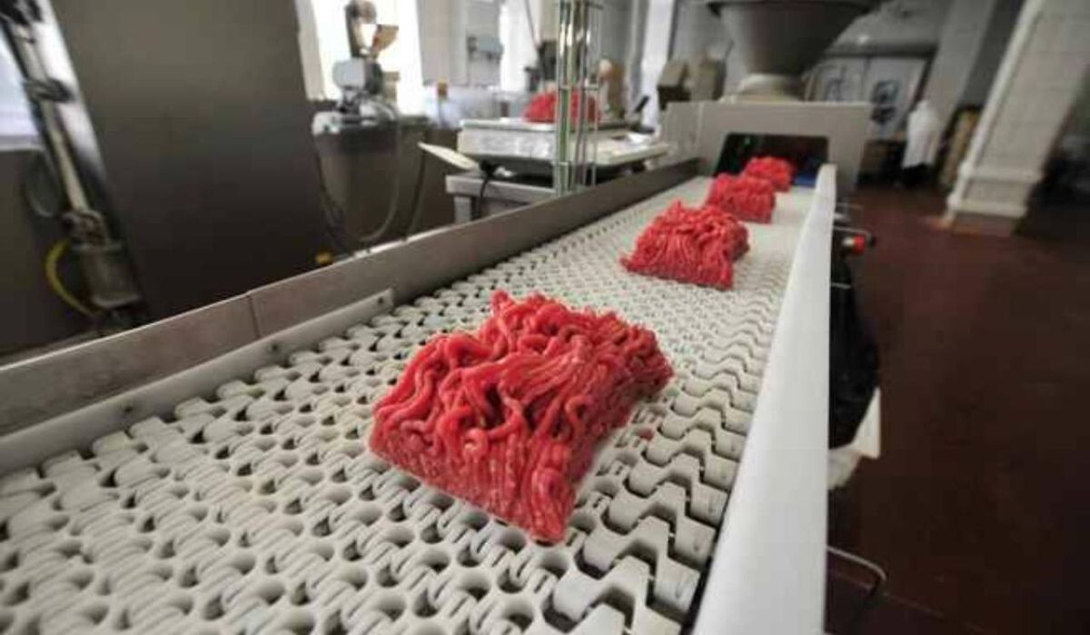     Фарш. Источник: ngs55.ru Автор фото: Артём Устюжанин / E1.RU