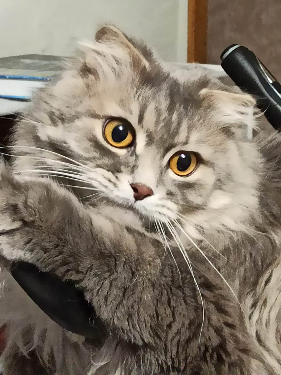 Правда же красавчик? Фото автора.