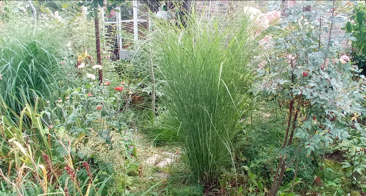 с другой сороны