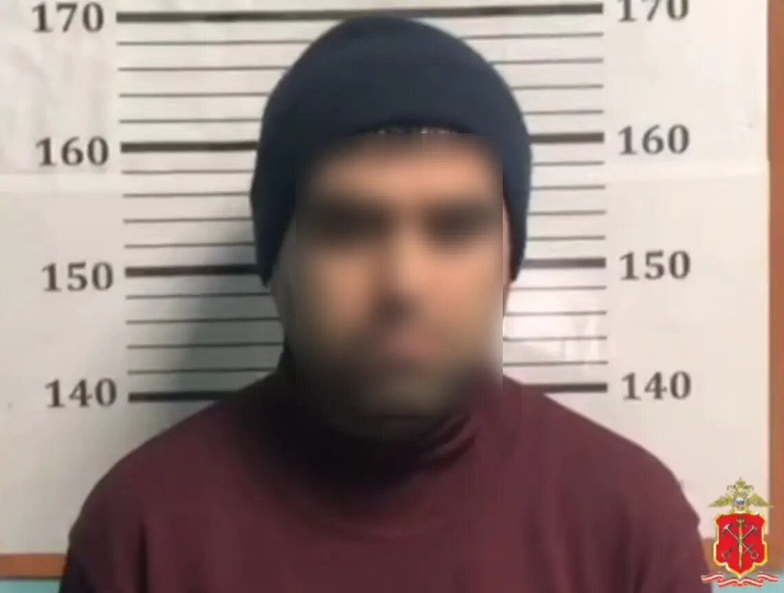    Фото: стоп-кадр видео пресс-службы ГУ МВД России по Петербургу и Ленобласти